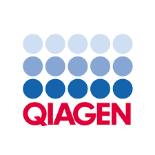 Logo 13